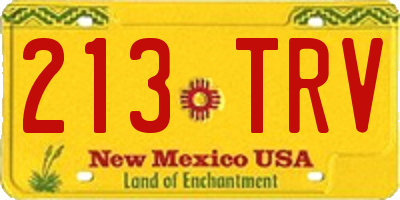 NM license plate 213TRV
