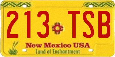 NM license plate 213TSB
