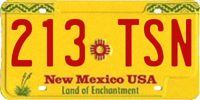 NM license plate 213TSN