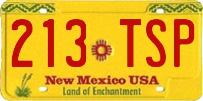 NM license plate 213TSP