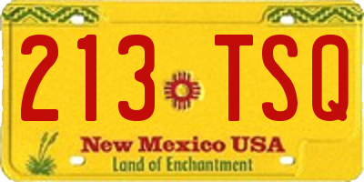 NM license plate 213TSQ