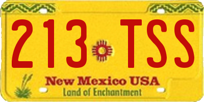 NM license plate 213TSS
