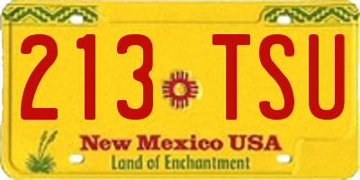 NM license plate 213TSU