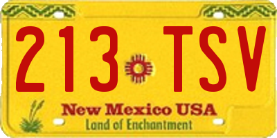 NM license plate 213TSV