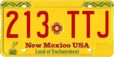 NM license plate 213TTJ