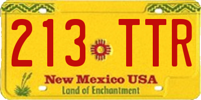 NM license plate 213TTR