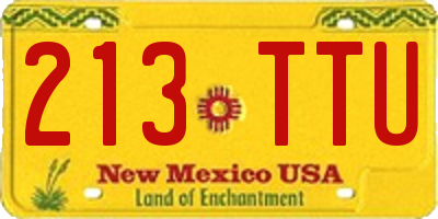 NM license plate 213TTU
