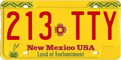 NM license plate 213TTY