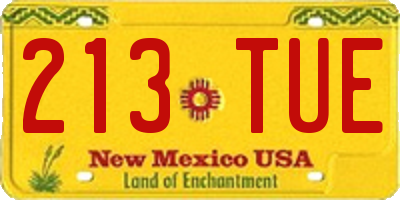 NM license plate 213TUE