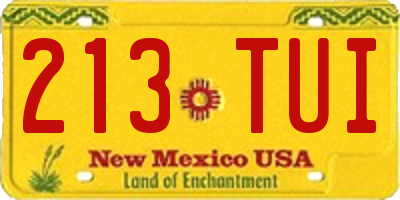 NM license plate 213TUI