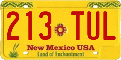 NM license plate 213TUL