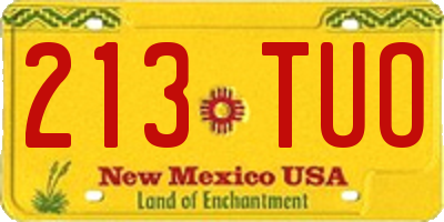 NM license plate 213TUO