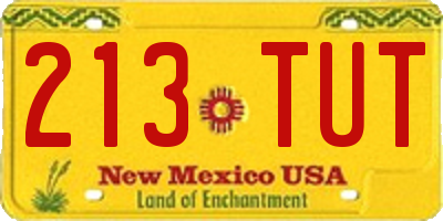 NM license plate 213TUT