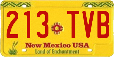 NM license plate 213TVB