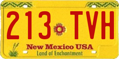 NM license plate 213TVH