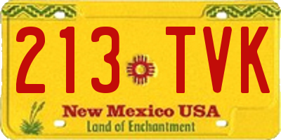 NM license plate 213TVK
