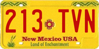 NM license plate 213TVN