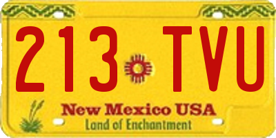 NM license plate 213TVU