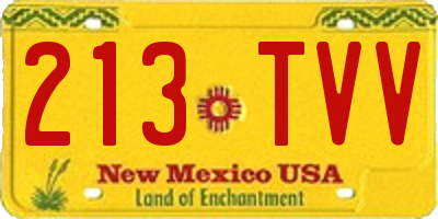 NM license plate 213TVV
