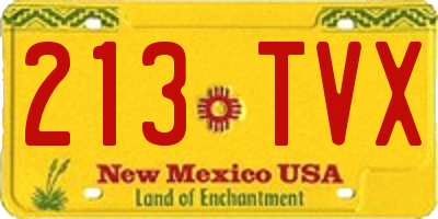 NM license plate 213TVX