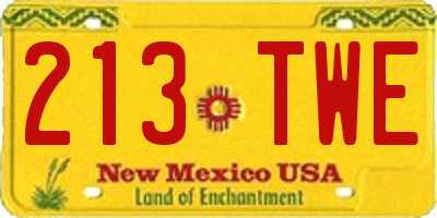 NM license plate 213TWE