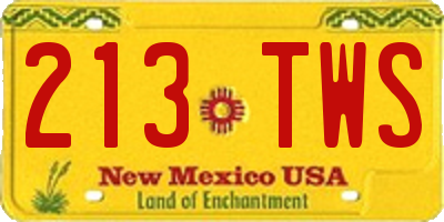 NM license plate 213TWS