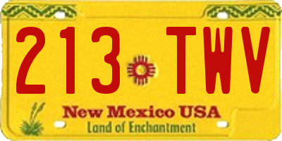 NM license plate 213TWV