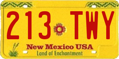 NM license plate 213TWY