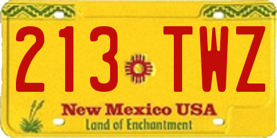 NM license plate 213TWZ