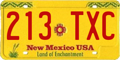 NM license plate 213TXC