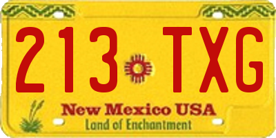 NM license plate 213TXG
