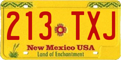 NM license plate 213TXJ