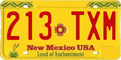 NM license plate 213TXM