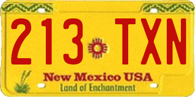 NM license plate 213TXN