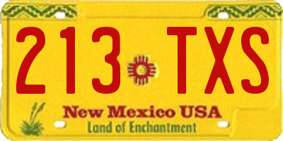 NM license plate 213TXS