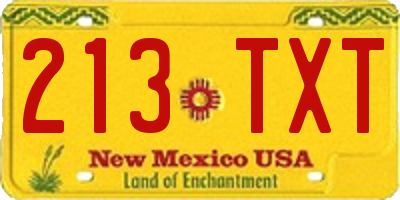 NM license plate 213TXT