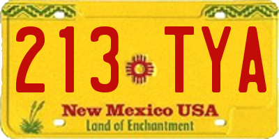 NM license plate 213TYA