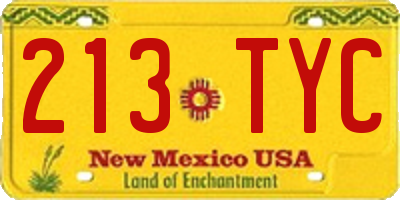 NM license plate 213TYC