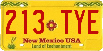 NM license plate 213TYE