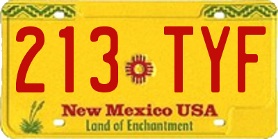 NM license plate 213TYF