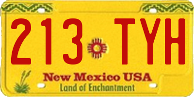 NM license plate 213TYH