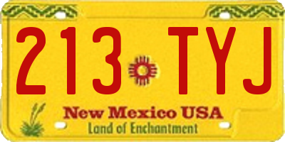 NM license plate 213TYJ