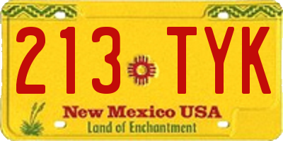 NM license plate 213TYK