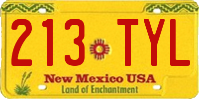 NM license plate 213TYL