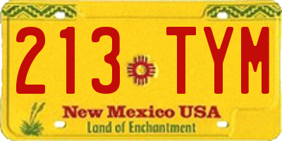 NM license plate 213TYM