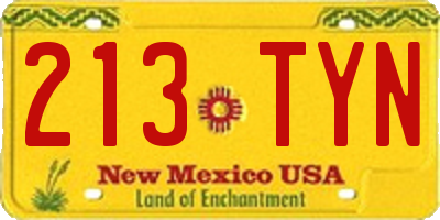 NM license plate 213TYN