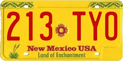 NM license plate 213TYO