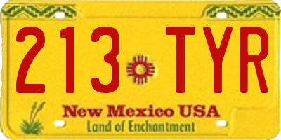 NM license plate 213TYR