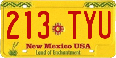 NM license plate 213TYU
