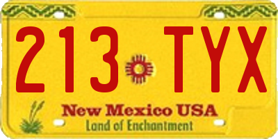 NM license plate 213TYX